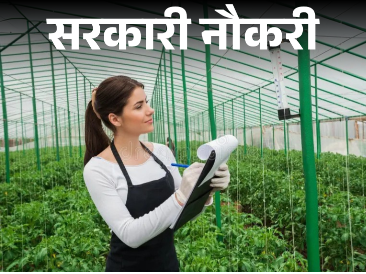 Recruitment for 281 posts of AEE in Rajasthan; Age limit 40 years, fee exemption for reserved category | सरकारी नौकरी: राजस्थान में AEE के 281 पदों पर भर्ती; एज लिमिट 40 साल, रिजर्व कैटेगरी को फीस में छूट