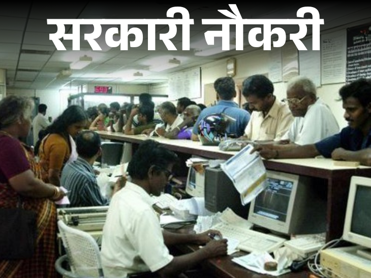 IBPS has released recruitment for 10,277 posts; Applications start today, graduates can apply | सरकारी नौकरी: IBPS ने 10,277 पदों पर निकाली भर्ती; आज से आवेदन शुरू, ग्रेजुएट्स करें अप्लाई