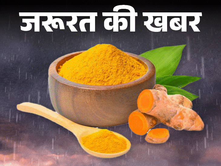 जरूरत की खबर- मानसून में इम्यूनिटी बढ़ाएंगी ये 8 हर्ब्स:  डाइट में करें शामिल, न्यूट्रिशनिस्ट से जानें फायदे और खाने का तरीका