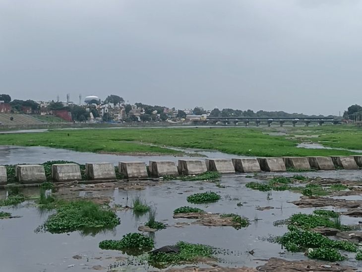 कम बारिश के टॉप 5 जिलों में खरगोन:  पिछले साल से 6 इंच कम बारिश; सूखी पड़ी कुंदा नदी, फसलों पर संकट – Khargone News