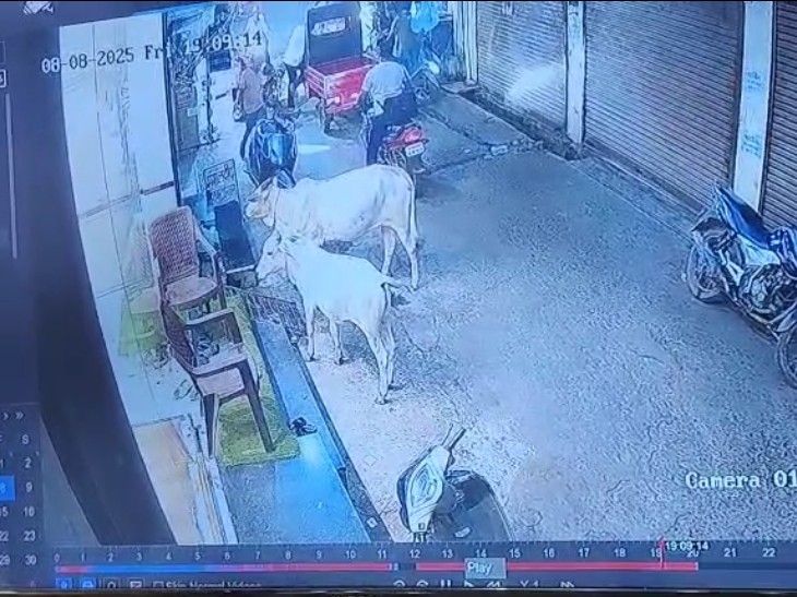 लाइब्रेरी जा रहे भाई-बहन से मारपीट:  अशोकनगर में ई-रिक्शा चालक ने स्कूटी में टक्कर मारी, विरोध पर युवक को पीटा, दो के खिलाफ FIR दर्ज – Ashoknagar News