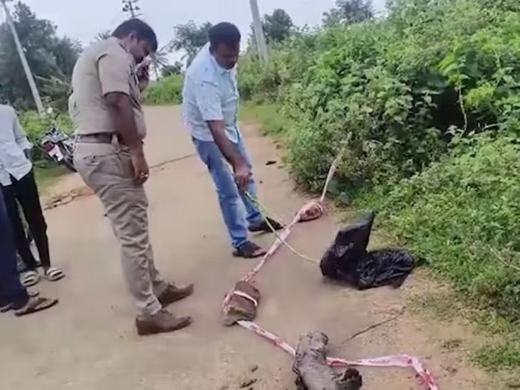 Karnataka Woman dead body head found in many locations | कर्नाटक में महिला का कटा हुआ सिर मिला: 10 अलग-अलग जगहों से शव के टुकड़े बरामद, 4 दिन से लापता थी महिला