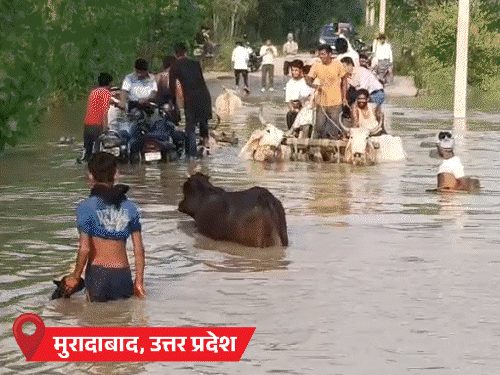 बिहार के 7 जिलों में बाढ़, 10 लाख लोग प्रभावित:UP के मुरादाबाद में रामगंगा का पानी सड़कों तक पहुंचा; 21 राज्यों में बारिश का अलर्ट- INA NEWS