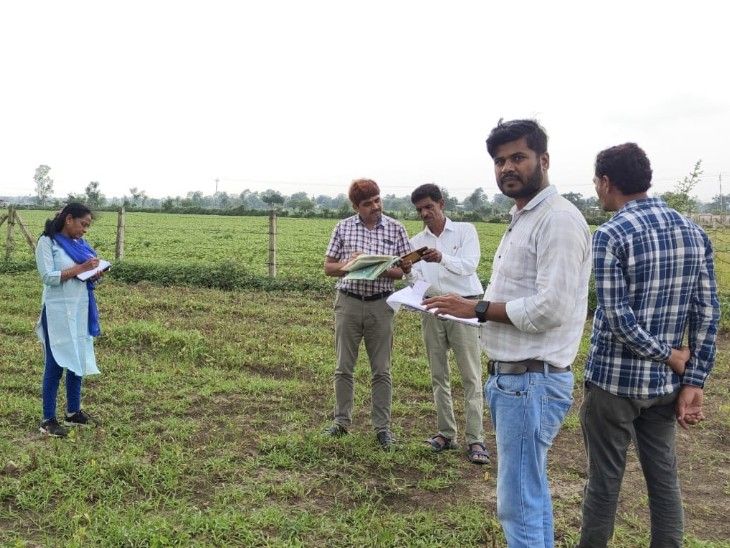 सोयाबीन की फसल बर्बाद करने वाली कंपनी पर FIR:  विदिशा में 40 किसानों ने की थी शिकायत; HPM केमिकल्स के 5 अधिकारियों पर केस – Vidisha News