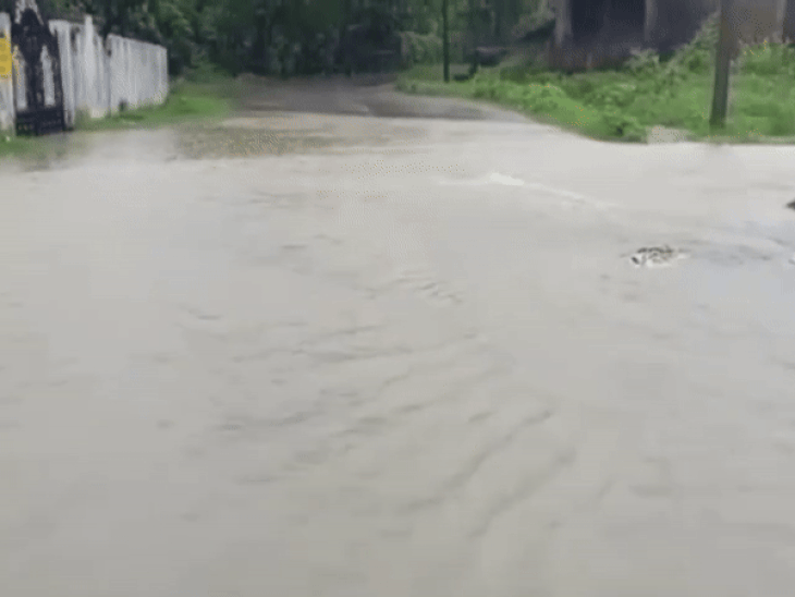 सीधी में तेज बारिश से घरों में घुसा पानी:  लोग बोले- मॉनसून में हमेशा का यही हाल, एसडीएम ने कहा-पानी तेज गिरने से बढ़ी परेशानी – Sidhi News