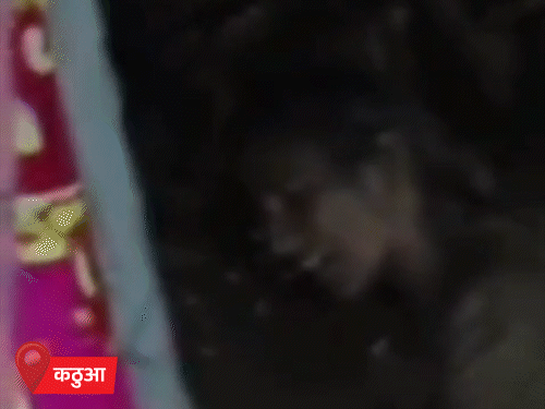 Cloudburst in Jammu and Kashmir Kathua jod ghati people died | जम्मू-कश्मीर के कठुआ में 3 जगह बादल फटा: 4 लोगों की मौत, 6 घायल; हिमाचल के कुल्लू में भी बादल फटने से तबाही