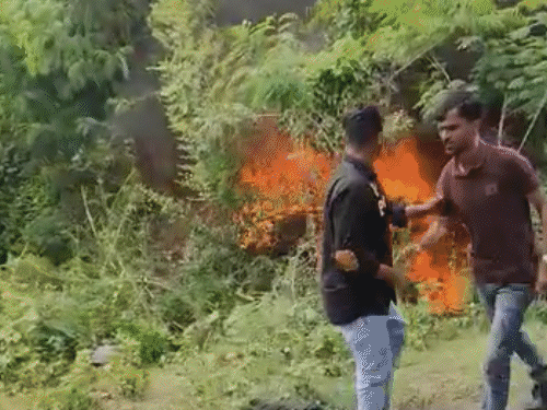 8 people burnt alive after two cars collided in Gujarat | गुजरात में दो कारें टकराने से 8 लोग जिंदा जले: सुरेंद्रनगर हाईवे पर हुआ हादसा, मरने वालों में 10 महीने की बच्ची भी शामिल