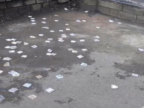 शिमला में महात्मा गांधी की प्रतिमा के पास उड़ाया कैश:19 हजार रुपए, दिल्ली से घूमने आया; दोस्त बोले- मानसिक रूप से परेशान- INA NEWS