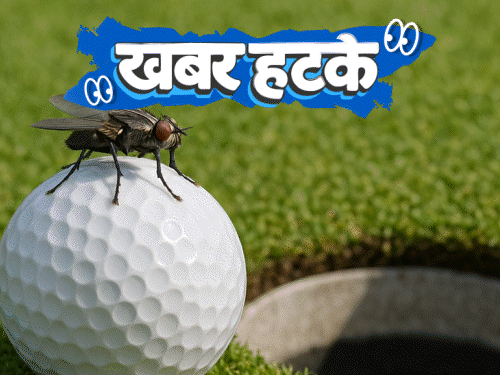 खबर हटके- मक्खी ने खिलाड़ी को ₹8 करोड़ जिताए:रेस्टोरेंट के मेन्यू में कई देशों का पानी; जानिए ऐसी ही 5 रोचक खबरें- INA NEWS