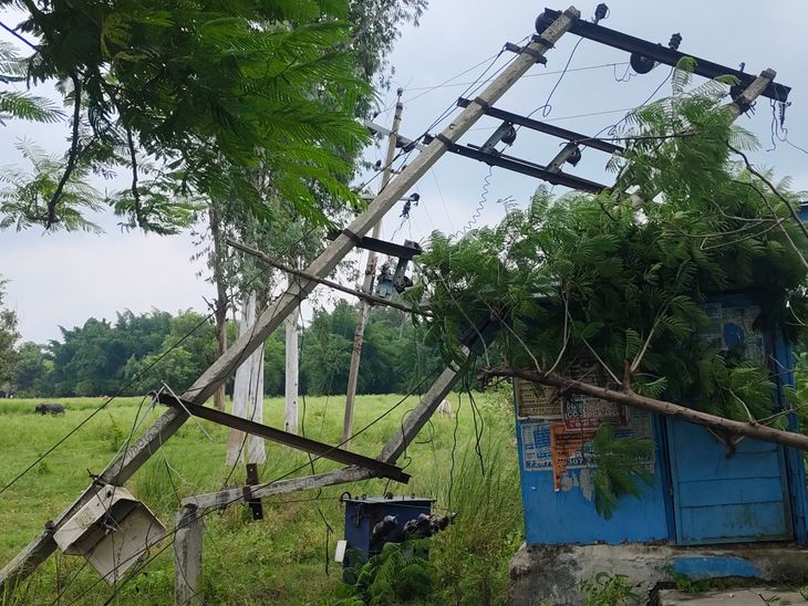 Electric pole damaged due to falling of tree branch in Gonda | गोंडा ...