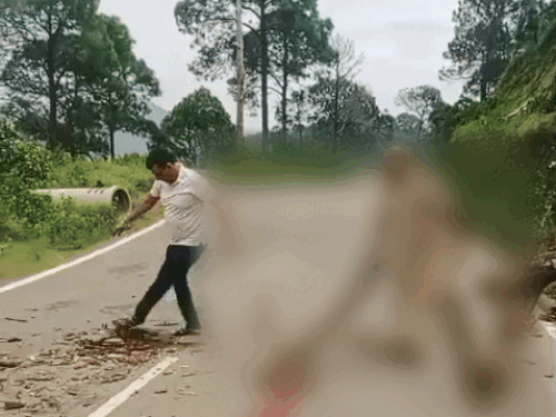 पंचकूला में चलते बाइक सवार के ऊपर पेड़ गिरा:  अस्पताल ले जाते वक्त युवक की मौत, बारिश के कारण हादसा – Panchkula News