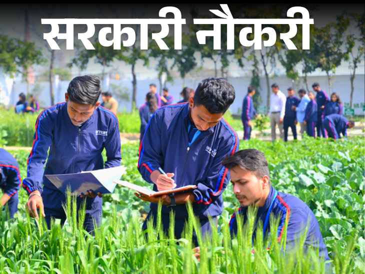 Notification Issued for recruitment on 500 posts in Rajasthan; Application Starts From 4 September, Age Limit is 40 years | Government Job: Recruitment notification for 500 posts in Rajasthan continues; Application starts from 4 September, age limit 40 years