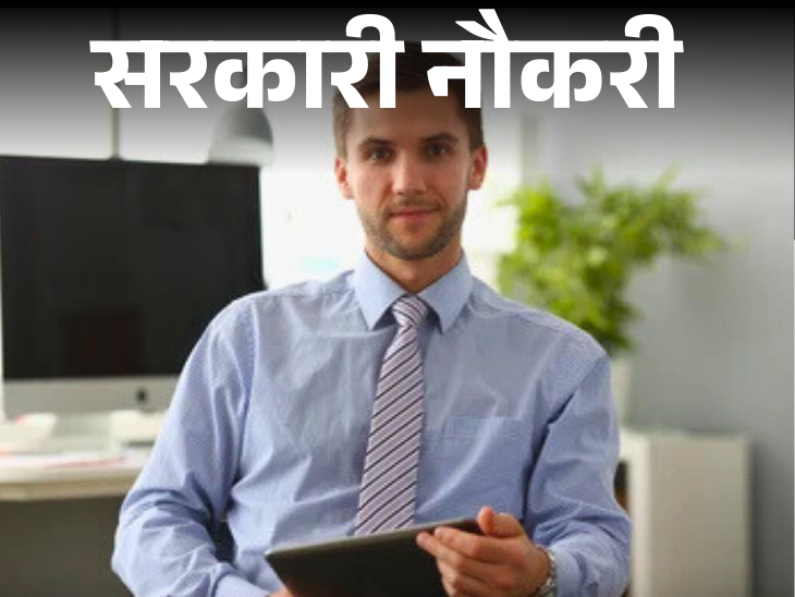 Canara Bank has released recruitment for graduates; Selection without exam, freshers can also apply | सरकारी नौकरी: केनरा बैंक में ग्रेजुएट्स के लिए निकली भर्ती; फ्रेशर को मौका, बिना एग्जाम के सिलेक्शन