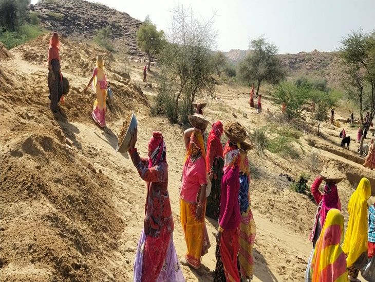 मनरेगा के तहत 94 कार्यों के 238.73 लाख रुपए स्वीकृत:  टांका एवं कैटल शेड निर्माण से होगा जल संरक्षण, पशुओं की होगी सुरक्षा – Jodhpur News