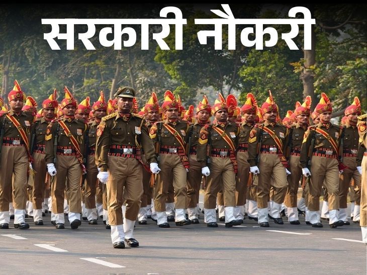 Today is the last day to apply for recruitment to 4543 posts in Uttar Pradesh, graduates should apply immediately | सरकारी नौकरी: उत्तरप्रदेश में 4543 पदों पर भर्ती के लिए आवेदन का आज आखिरी दिन, ग्रेजुएट्स तुरंत करें अप्लाई