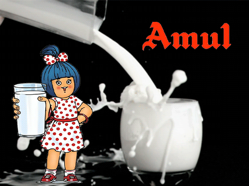 GST दरों में बदलाव: क्या अमूल दूध हुआ सस्ता? उद्योग पर क्या असर? Amul Milk Prices Remain Unchanged news image