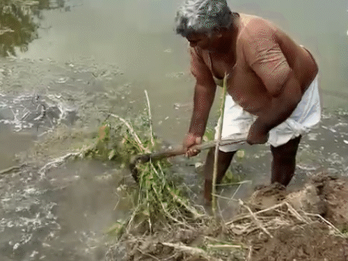 राजस्थान के किसान की भूखे मरने की नौबत, फसल गली:  अब डर साहूकार का, खेत तालाब बने, पानी निकालने के लिए भी ले रहे कर्ज – Rajasthan News