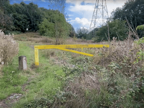 UK Sikh Girl Gangrape: Accused Told ‘Go Back Home, You Don’t Belong Here’; Racial Hate Crime Probe Underway – Jalandhar News