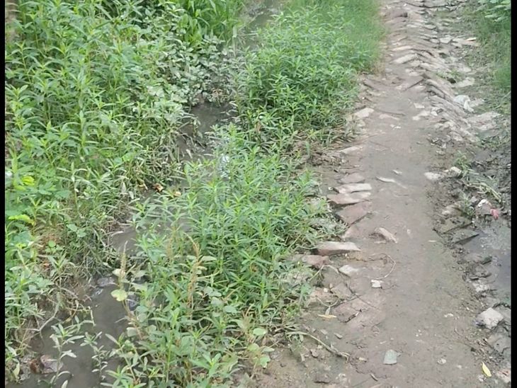 People of Rudauli village Purai are troubled by the negligence of ...