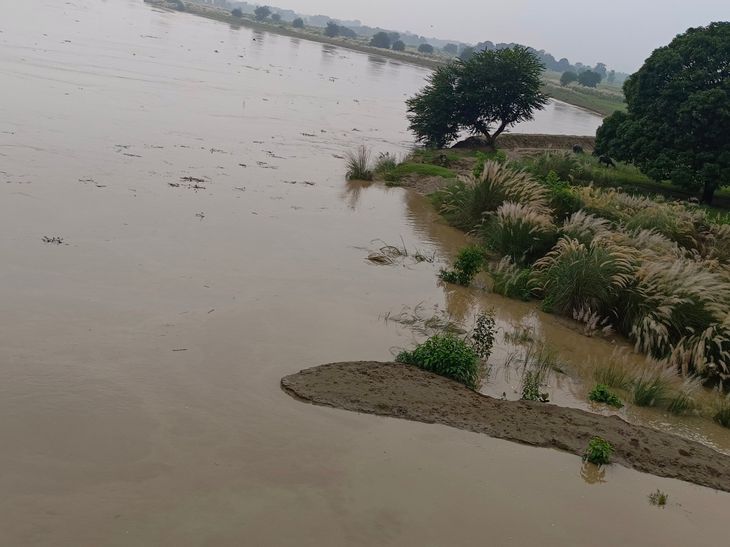 The water level of the Rapti River increased in Dhani.