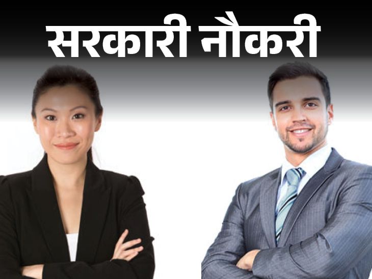 IBPS RRB recruitment for 13217 posts; Last Date to Apply Today, Graduates Can Apply Immedited | Government Job: Recruitment of 13,217 posts of IBPS RRB; Last date of application today, graduates apply immediately