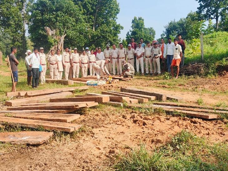 वन विभाग को मिली बड़ी सफलता:  करमडीया गांव में 30 हजार की अवैध साल लकड़ी जब्त, एक आरोपी के खिलाफ कार्रवाई – Balrampur (Ramanujganj) News