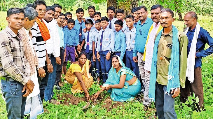 Plants planted under the name of a tree mother on Seva Pakhwada | सेवा ...