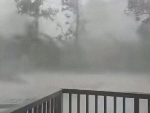 Typhoon Ragasa damages 53,000 trees in China | तूफान ‘​​​​​​​रागासा’ से ताइवान में झील का बांध टूटा: 6000 करोड़ लीटर पानी बहा; फिलीपींस में नए टाइफून ‘बुआलोई’ से 4 मौतें