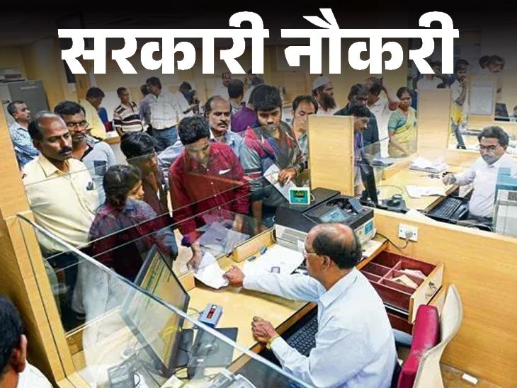 IBPS RRB Recruitment Application Deadline Today: 13,294 vacancies, Graduates Can Apply Immeditely | Government Job: Last date of application for IBPS RRB recruitment today; 13,294 vacancies, graduates apply immediately