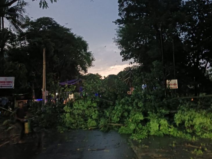 गयाजी में आंधी-तूफान से बिगड़ी बिजली व्यवस्था:  अलग-अलग इलाकों में पोल के पास 40 से ज्यादा पेड़ गिरे, देर रात तक अंधेरे में डूबा रहा शहर – Gaya News