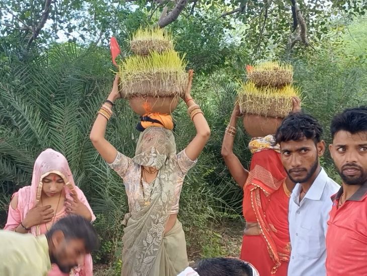 Jaware offered to Skanda Mata Temple in Naavali