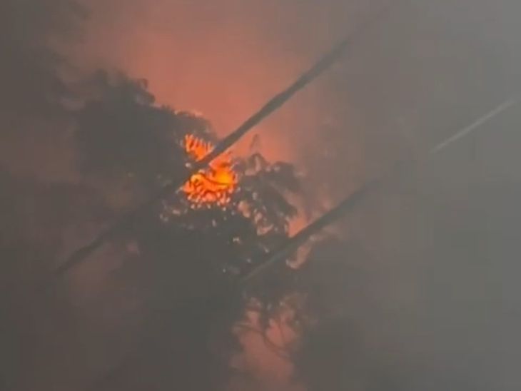 A tree caught fire in Mathura due to a high tension line.