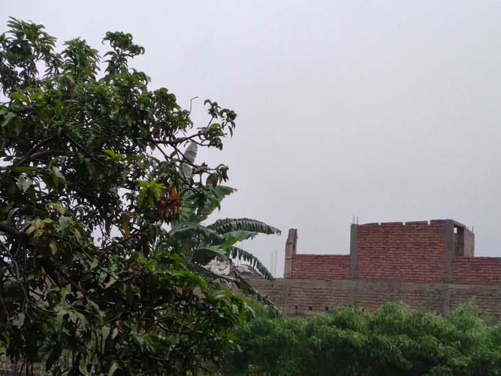 शिवहर में मूसलाधार बारिश और तेज हवाओं के लिए मौसम विभाग ने ऑरेंज अलर्ट जारी किया शिवहर में मूसलाधार बारिश और तेज हवाओं के लिए मौसम विभाग ने ऑरेंज अलर्ट जारी किया