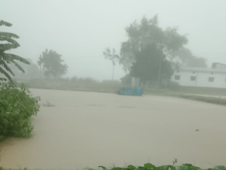 Continuous rain in Bhatni submerged paddy crops | भटनी में लगातार बारिश ...