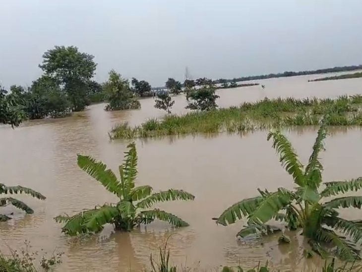 बागमती नदी का बढ़ा जलस्तर, शिवहर में जनजीवन अस्त-व्यस्त