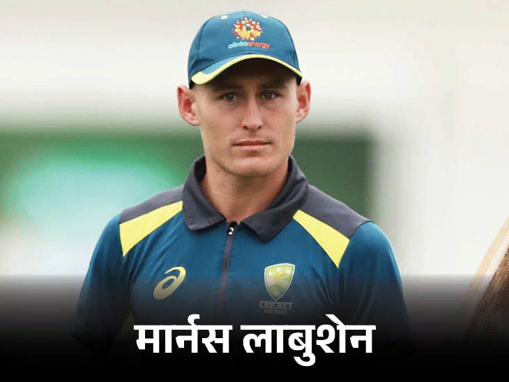Australia ODI T20 Squad Vs India; Mitchell Marsh | Mitchell Starc | ऑस्ट्रेलिया ने भारत के खिलाफ वनडे टीम का ऐलान किया: लाबुशेन हुए बाहर, रेनशॉ को डेब्यू का मौका मिल सकता है