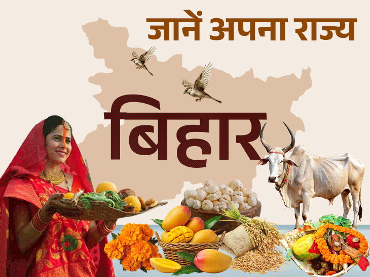 Bihar State Complete Profile for UPSC BPSC SSC and IBPS Exams | Makhana in the country, Liachi Utpadan in the Bihar Flugment: 1 Tiger Reserve, 11 Wold Life Central; Let’s know the whole profile of the state including population, rivers and language