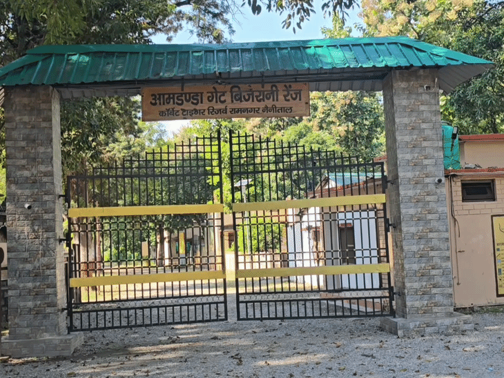 Two zones of Jim Corbett Park to open from October 15 | 15 अक्तूबर से खुलेगा जिम कॉर्बेट पार्क के 2 जोन: 15 नवंबर से कर सकेंगे रात्रि विश्राम, होटल संचालकों में उत्साह – Nainital News