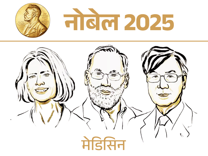 Nobel Prize in Physics, Chemistry and Medicine 2025 | Nobel in Physics-Chemistry and Medicine: 3-3 scientists got the honour, know the connection of the discovery of chemistry with Harry Potter’s Hermione.