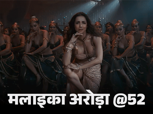 Malaika Arora Birthday Interesting Facts; Arbaaz Khan Divorce | Arjun Breakup | मलाइका अरोड़ा @52, माचिस की डिब्बी जैसे घर में रहीं: आत्मसम्मान और मानसिक शांति के लिए तलाक लिया, अर्जुन से अलग होकर आत्म-खोज में जुटीं