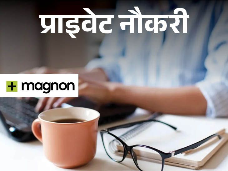 Magnon Group Recruitment for Language Experts, Responsible for Translation and Proofreading, Remote Based Job | Private Job: Magnon Group has announced vacancy for language experts, responsibility of translation and proofreading, remote based job.