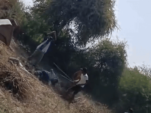 Attack with sticks and rods in a land dispute VIDEO | जमीनी विवाद में लाठियों-सरियों से हमला VIDEO: रिणु गांव में खूनी संघर्ष, सिर पर कुल्हाड़ी से वार करने का आरोप – Sikar News Attack with sticks and rods in a land dispute VIDEO | जमीनी विवाद में लाठियों-सरियों से हमला VIDEO: रिणु गांव में खूनी संघर्ष, सिर पर कुल्हाड़ी से वार करने का आरोप – Sikar News