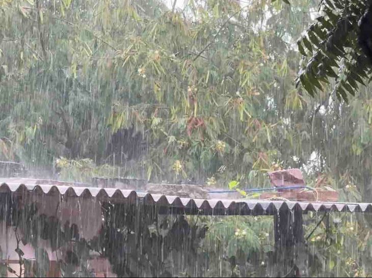 Heavy rain in many areas including Dudu | दूदू समेत कई इलाकों में झमाझम बारिश: मौसम बदलने से रबी की बुवाई को लेकर किसान चिंतित, तापमान में गिरावट आई – Dudu News Heavy rain in many areas including Dudu | दूदू समेत कई इलाकों में झमाझम बारिश: मौसम बदलने से रबी की बुवाई को लेकर किसान चिंतित, तापमान में गिरावट आई – Dudu News