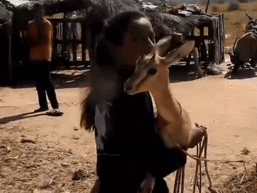Jaisalmer Animal Love Story; Baby Deer | 11 Year Old Pooja Kanwar | हिरण की ‘बहन’ बनी 11 साल की बच्ची: चार महीने पाला, गोद में खिलाया; बिछड़ने पर छलक पड़े आंसू – Jaisalmer News Jaisalmer Animal Love Story; Baby Deer | 11 Year Old Pooja Kanwar | हिरण की ‘बहन’ बनी 11 साल की बच्ची: चार महीने पाला, गोद में खिलाया; बिछड़ने पर छलक पड़े आंसू – Jaisalmer News