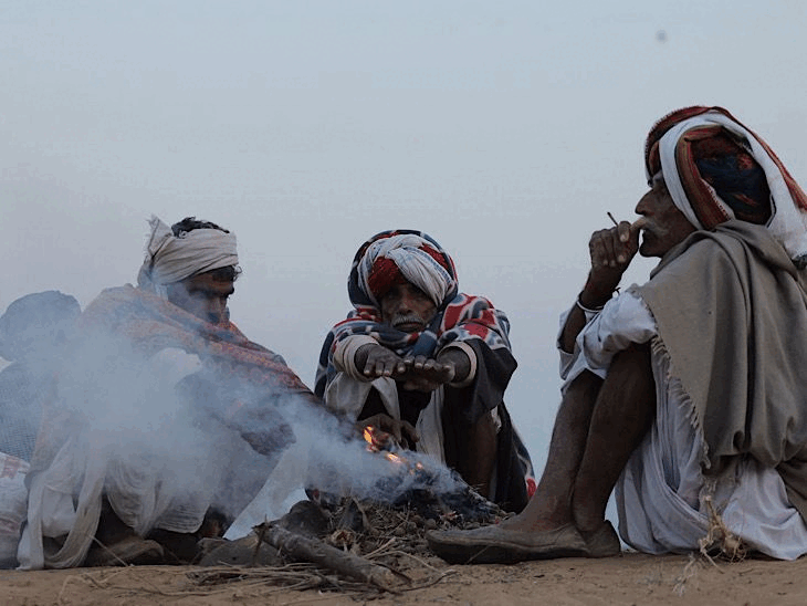 Cattle market set up at the new fair ground in Pushkar | पुष्कर के नए मेला ग्राउंड में सजी पशु मंडी: 3028 घोड़े-घोड़ी और 1306 ऊंट पहुंचे, विदेशी टूरिस्ट कर रहे ऊंटों की सवारी – Ajmer News Cattle market set up at the new fair ground in Pushkar | पुष्कर के नए मेला ग्राउंड में सजी पशु मंडी: 3028 घोड़े-घोड़ी और 1306 ऊंट पहुंचे, विदेशी टूरिस्ट कर रहे ऊंटों की सवारी – Ajmer News