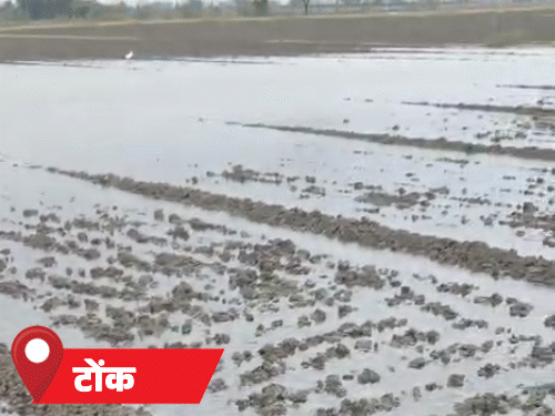 5 inches of rain in Rajasthan brought down the mercury | राजस्थान के 11 जिलों में आज बारिश का अलर्ट: 5 इंच तक बरसात से पारा गिरा, भीलवाड़ा में सीजन का सबसे ठंडा दिन – Jaipur News