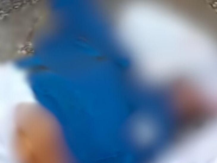Bike rider dies after being hit by a car