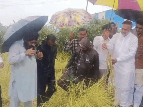 Rajasthan Kota Energy Minister Hiralal Nagar visited Kota rural Digod area, took stock of crop damage, made surprise inspection of school, reprimanded for poor construction of building, got the work of cremation ground started in Bhagwanpur village. | बारिश से फसल चौपट, ऊर्जा मंत्री ने लिया जायजा: स्कूल के औचक निरीक्षण में घटिया निर्माण पर जताई नाराजगी, भगवानपुरा गांव में श्मशान घाट निर्माण का कार्य तुरंत शुरू करवाया – Kota News Rajasthan Kota Energy Minister Hiralal Nagar visited Kota rural Digod area, took stock of crop damage, made surprise inspection of school, reprimanded for poor construction of building, got the work of cremation ground started in Bhagwanpur village. | बारिश से फसल चौपट, ऊर्जा मंत्री ने लिया जायजा: स्कूल के औचक निरीक्षण में घटिया निर्माण पर जताई नाराजगी, भगवानपुरा गांव में श्मशान घाट निर्माण का कार्य तुरंत शुरू करवाया – Kota News