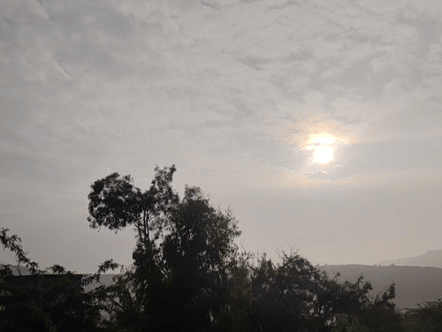 The weather cleared after two days | दो दिन बाद साफ हुआ मौसम: रिमझिम बारिश के बाद मौसम में घुली ठंडक, अधिकतम और न्यूनतम तापमान में हुई गिरावट – Sawai Madhopur News The weather cleared after two days | दो दिन बाद साफ हुआ मौसम: रिमझिम बारिश के बाद मौसम में घुली ठंडक, अधिकतम और न्यूनतम तापमान में हुई गिरावट – Sawai Madhopur News