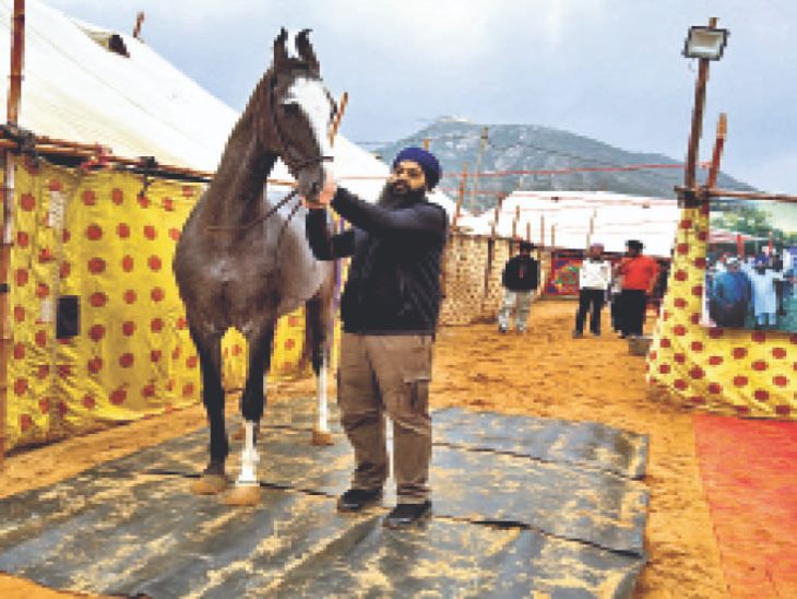 The event will begin with flag hoisting, 101 drums will be played simultaneously, and a grand aarti will be performed at the lake in the evening. | पुष्कर मेला: ध्वजारोहण के साथ होगा आगाज, एक साथ बजेंगे 101 नगाड़े, शाम को सरोवर पर महाआरती – Ajmer News